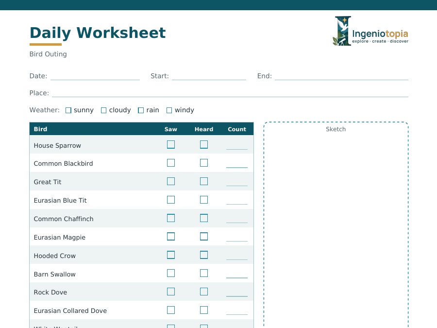Bird Outing – Weekend Worksheet