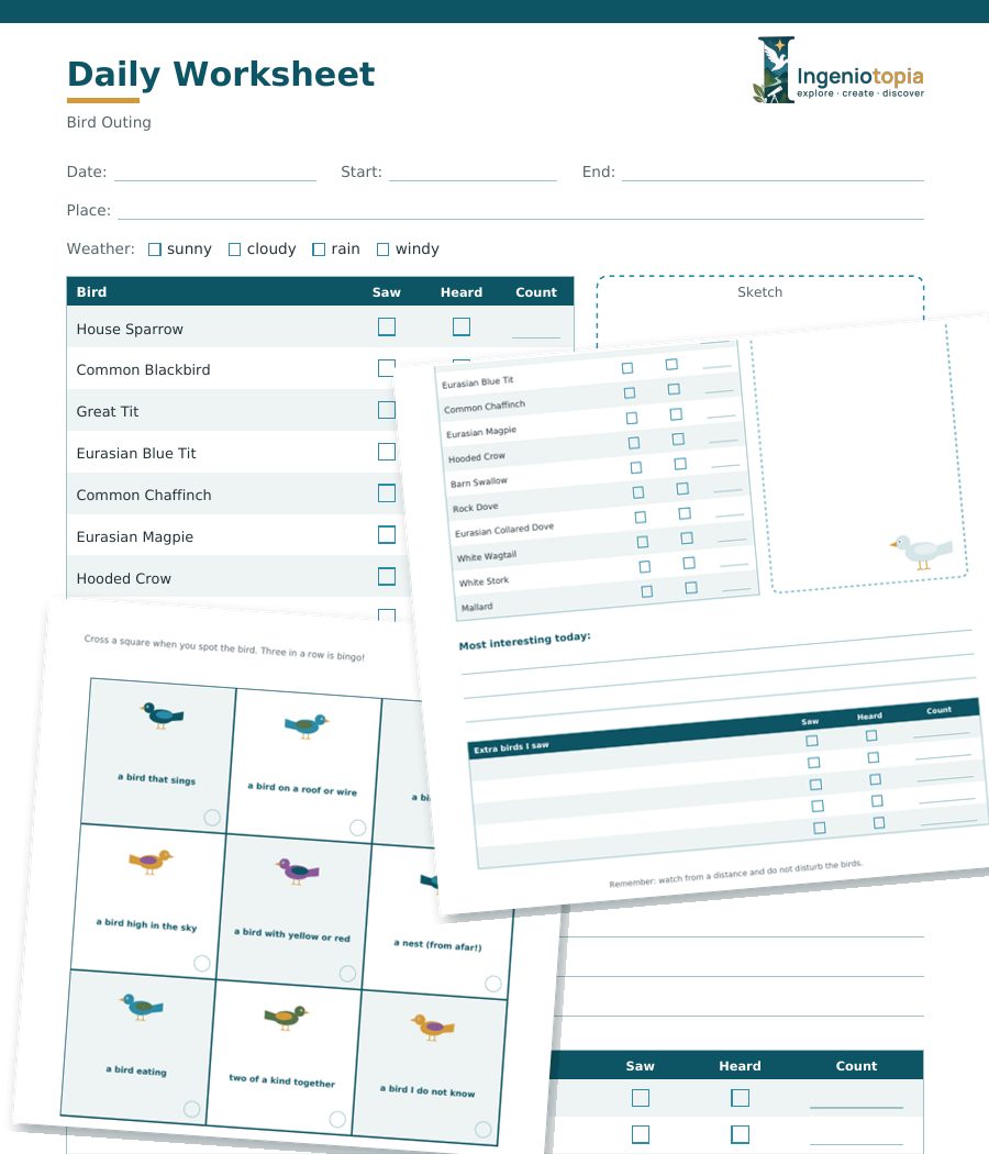Bird Outing – Weekend Worksheet